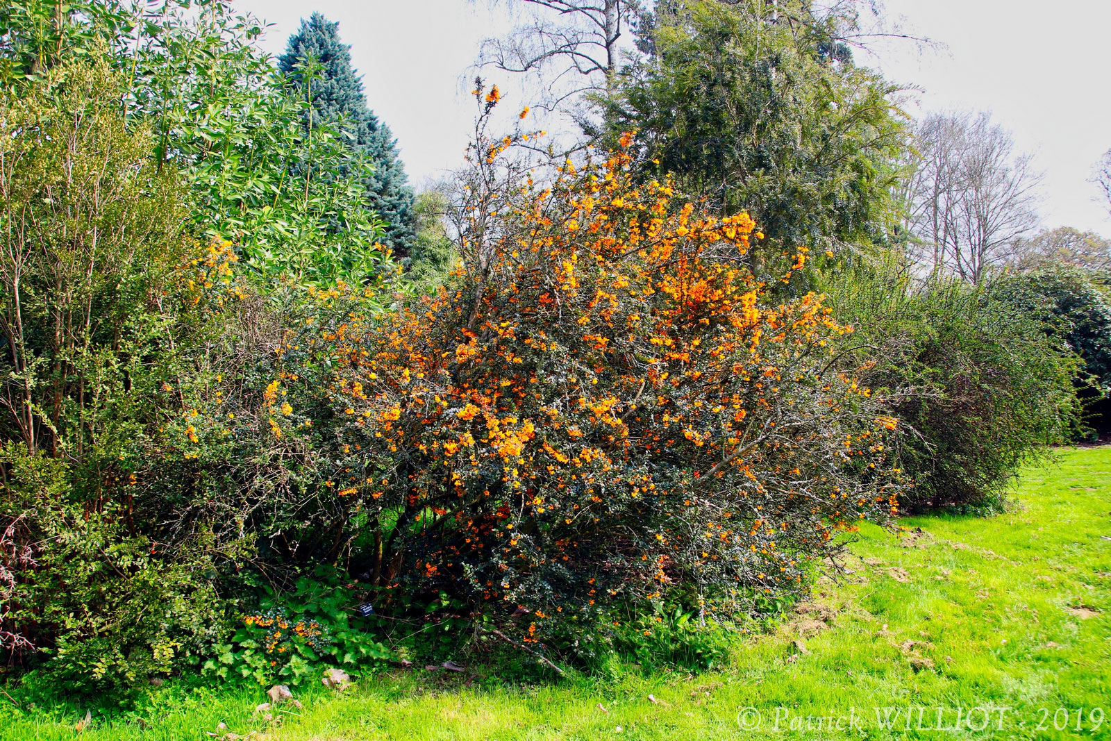 Harcourt Arboretum - Oxford University